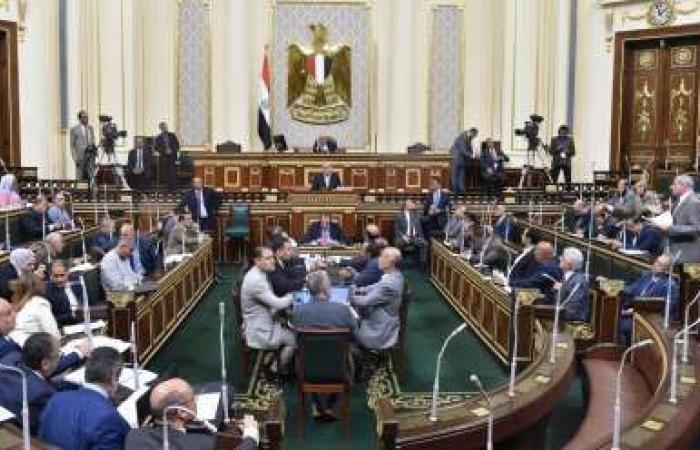 سياسة : لجنة برلمانية لمناقشة أزمة بوار أراض زراعية في الوادي الجديد - مصر - الوطن