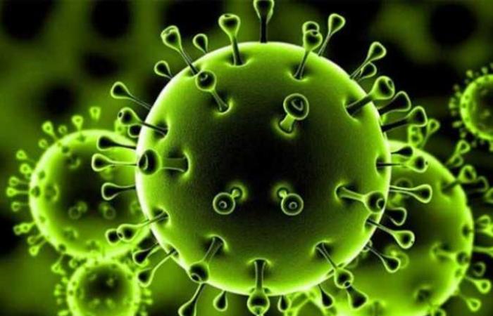 أخبار العالم : ماذا يفعل فيروس كورونا بضحاياه؟ 6 متعافين من المرض يجيبون (تقرير)