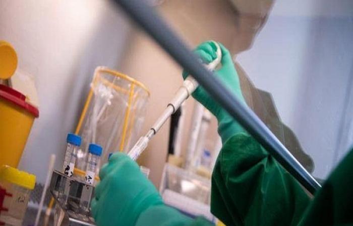 أخبار العالم : تطوير أول عقار يهاجم فيروس كورونا في هولندا