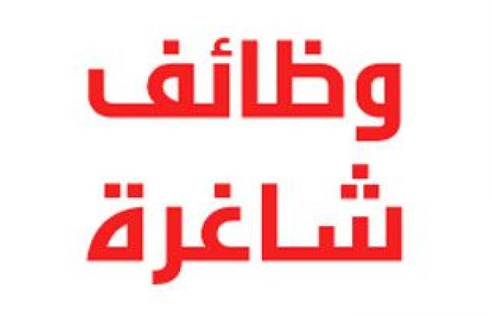 محافظات : تعرف على فرص العمل بديوان عام محافظة سوهاج.. الشروط والتخصصات المطلوبة