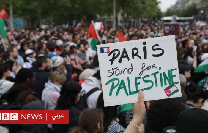 أخبار العالم : لماذا تهمّ نتيجة الانتخابات الفرنسيّة المنطقة العربيّة؟ وهل حرب غزّة "ورقة انتخابيّة"؟