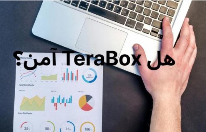 هل يعد تطبيق تيرابوكس TeraBox آمنًا لتخزين البيانات؟ (اكتشف ذلك الآن)