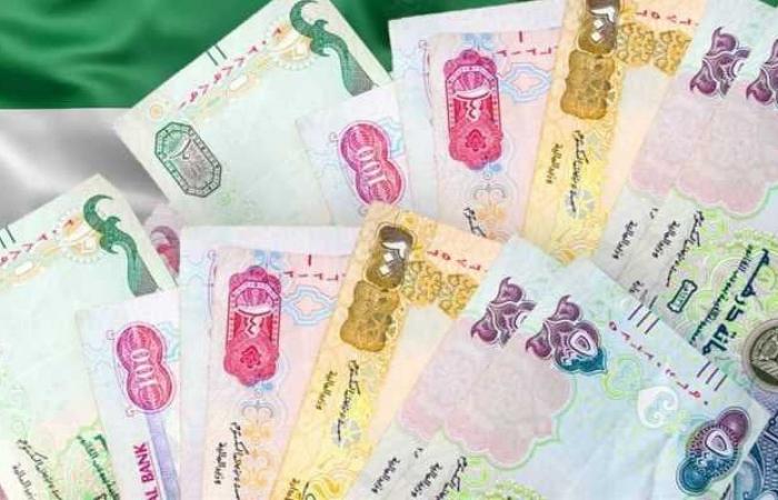 سعر الدرهم الإماراتي مقابل الجنيه المصري اليوم الثلاثاء 3 سبتمبر 2024