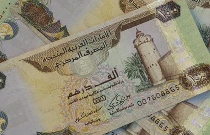 سعر الدرهم الإماراتي مقابل الجنيه المصري اليوم الأربعاء 4 سبتمبر 2024