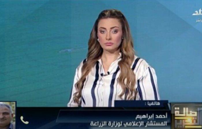 عقوبة جديدة ضد مخالفي قوانين الكهرباء والأراضي.. الزراعة توضح «فيديو»