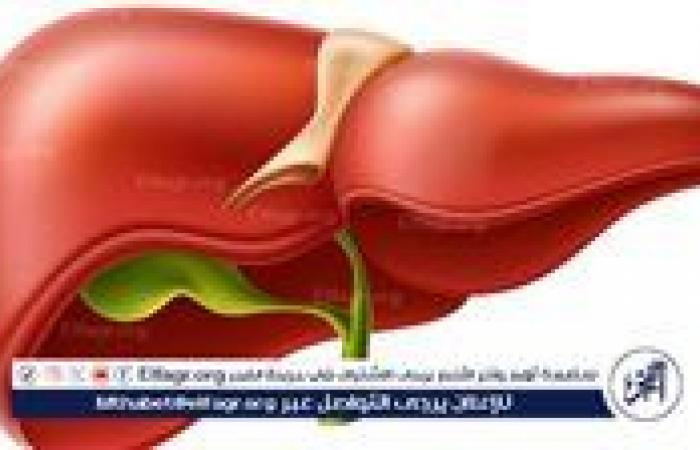 أخبار العالم : الجمعية الإفريقية: الكبد الدهني هو الوباء القادم على مستوى العالم