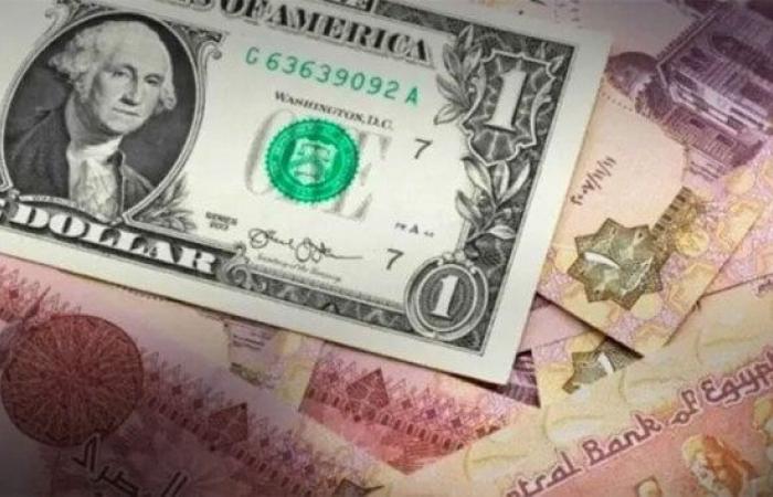 سعر الدولار الآن بختام تعاملات اليوم الخميس 3 أكتوبر 2024