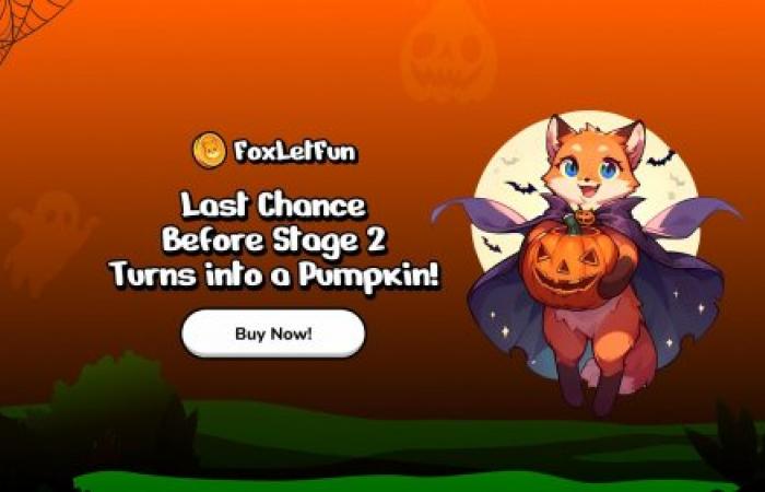 مع كفاح BNB مع حجم dApp، يتجه المستثمرون إلى FoxLetFun وSponge V2