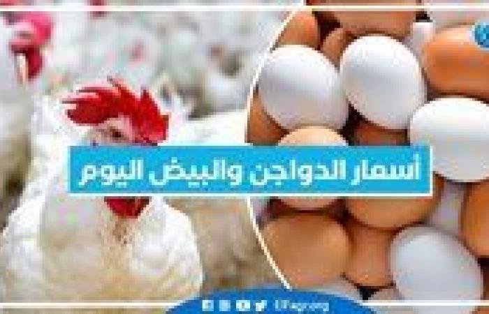 أخبار العالم : أسعار الدواجن والبيض اليوم الأربعاء 6-11-2024 بمحافظة البحيرة