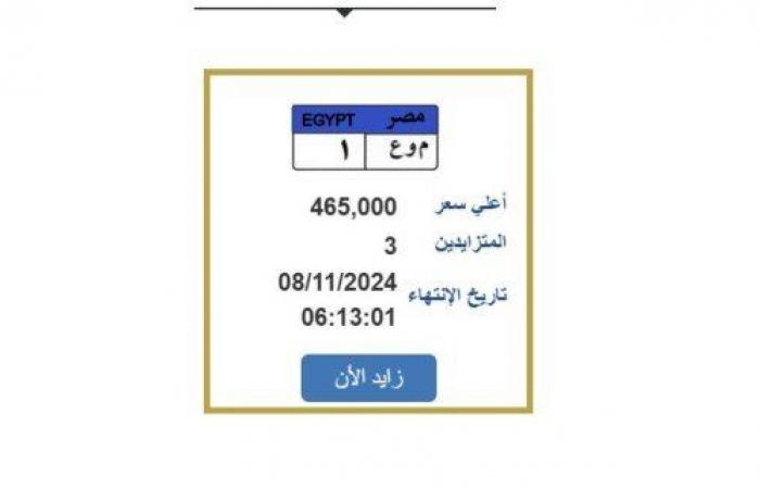 المزايدة تنتهي غدًا.. طرح لوحة سيارة مميزة بسعر 465 ألف جنيه