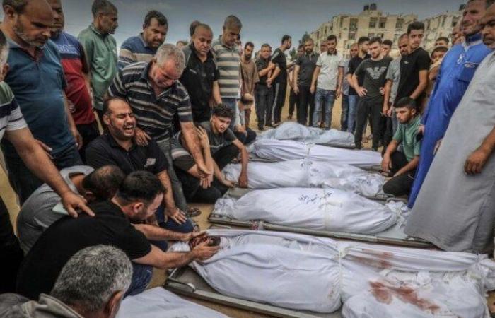 7 شهداء إثر قصف الاحتلال جنوبي غزة.. والدفاع المدني: مواطنو الشمال لا يجدون ما يأكلونه