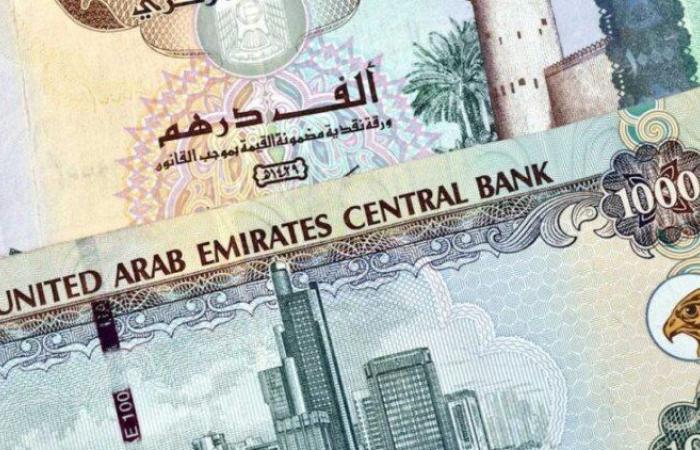 سعر الدرهم الإماراتي مقابل الجنيه المصري اليوم الأحد 10 نوفمبر 2024