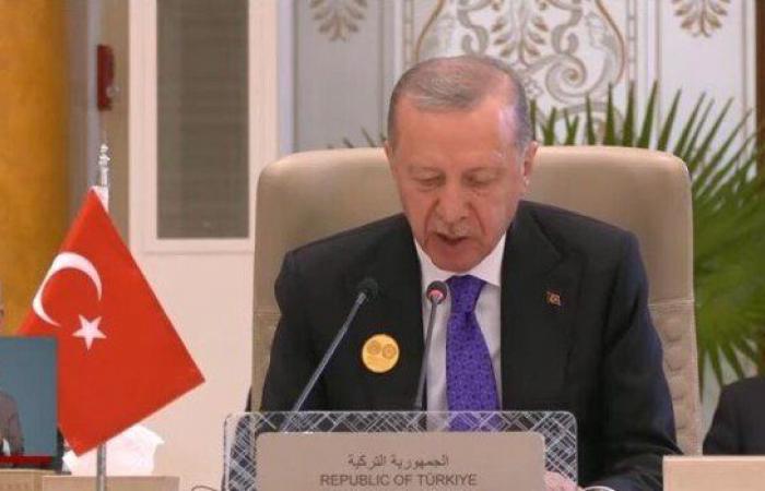 القمة العربية - الإسلامية.. أردوغان: يجب حظر تصدير الأسلحة وإيقاف حركة التجارة مع إسرائيل