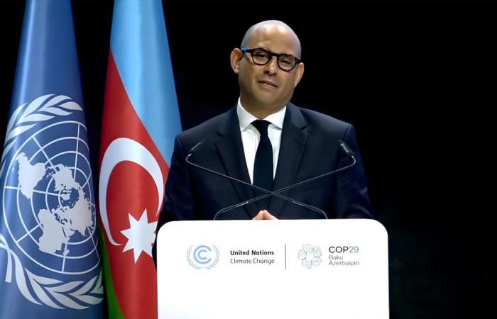 أخبار العالم : سيمون ستيل: نشكر الإمارات على جهودها خلال رئاستها «COP28»