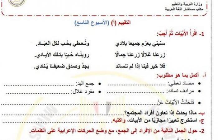 مراجعات نهائية.. أسئلة تقييم الاسبوع التاسع في اللغة العربية الصف الرابع الابتدائي