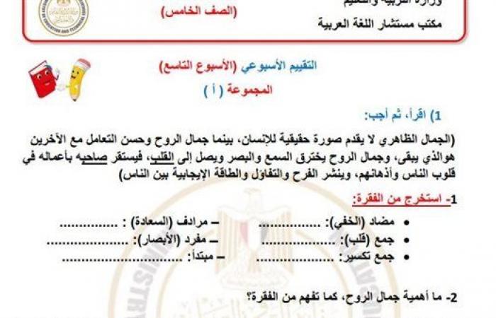 مراجعات نهائية.. أسئلة تقييم الاسبوع التاسع في اللغة العربية الصف الخامس الابتدائي