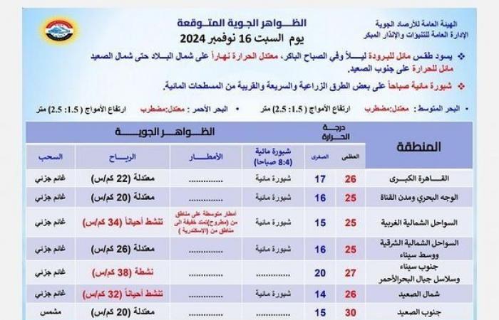 مائل للبرودة ليلا معتدل نهارا.. الأرصاد تكشف حالة الطقس خلال الأيام المقبلة