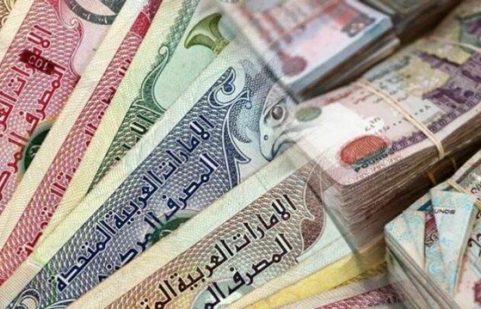 سعر الدرهم الإماراتي اليوم الجمعة 15-11-2024 في البنوك المصرية