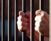 حوادث : حبس متحول جنسي بتهمة «التحريض على الفجور» في الجيزة