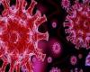 أخبار العالم : هيئة روسية تعلن اكتشاف ما يقرب من 1500 طفرة لفيروس كورونا