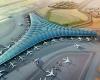 إقتصاد : "الطيران المدني": سيتم تشغيل 76 رحلة جوية لنقل 8 آلاف حاج كويتي