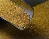 إقتصاد : الذهب يسجل أعلى مستوياته في أسبوعين وسط رهانات خفض الفائدة
