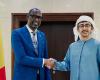 أخبار العالم : عبد الله بن زايد ووزير خارجية مالي يبحثان العلاقات الثنائية